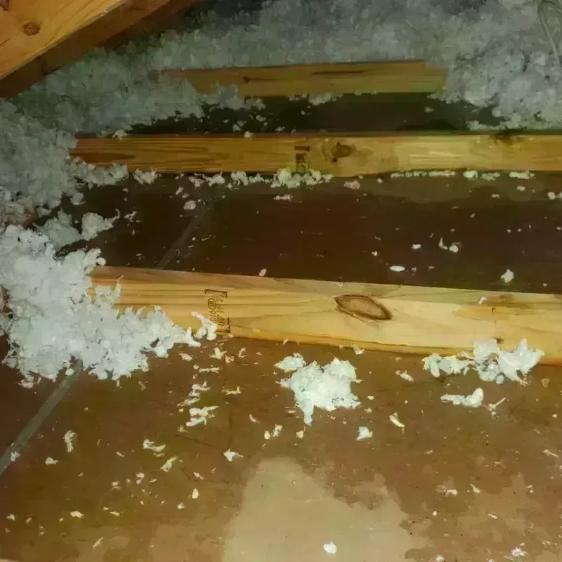 Attic Water Damage in Monte Grande, PR