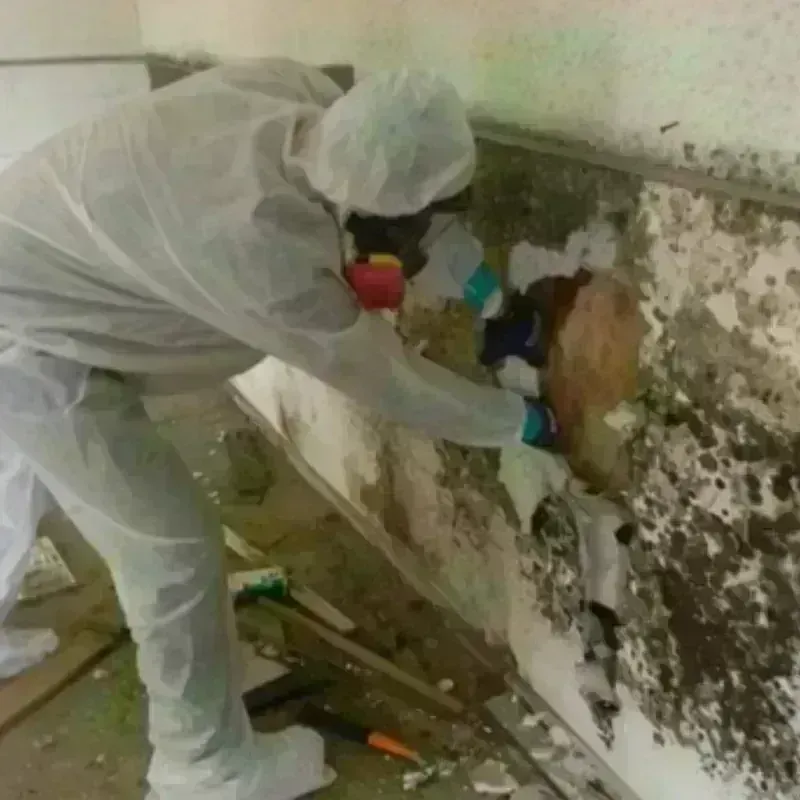 Best Mold Remediation and Removal Service in Monte Grande, PR